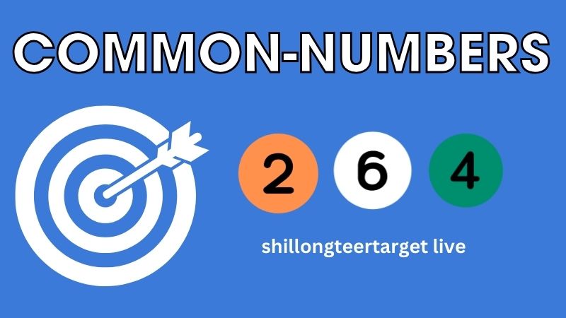 shillongteertarget live Common-numbers