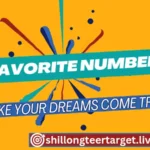 shillongteertarget live favorite number